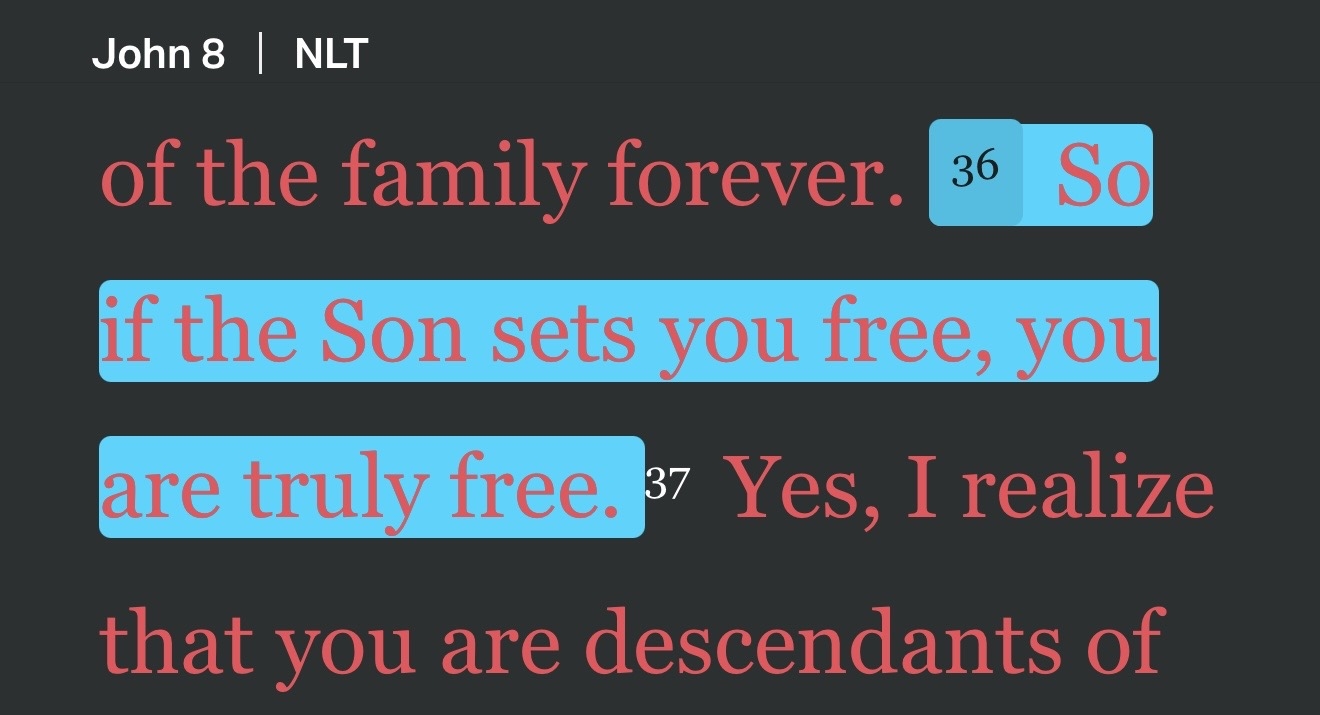 Highlighted text from John 8:36 (NLT) "So if the Son sets you free, you are truly free."