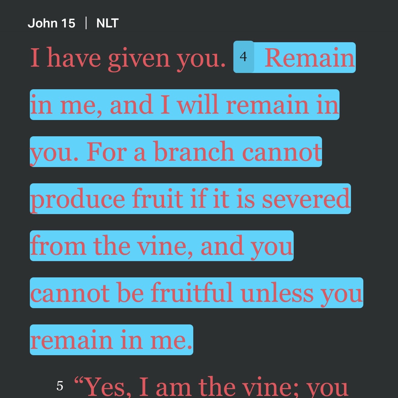 Hightlighted text from John 15:4 "Remain in me, and I will remain in you. For a branch cannot produce fruit if it is severed from the vine, and you cannot be fruitful unless you remain in me."