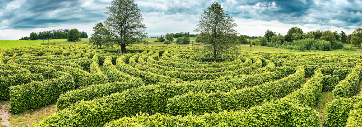 A green maze with two trees in the middle