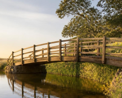 Wooden footbridge over a calm stream at golden hour